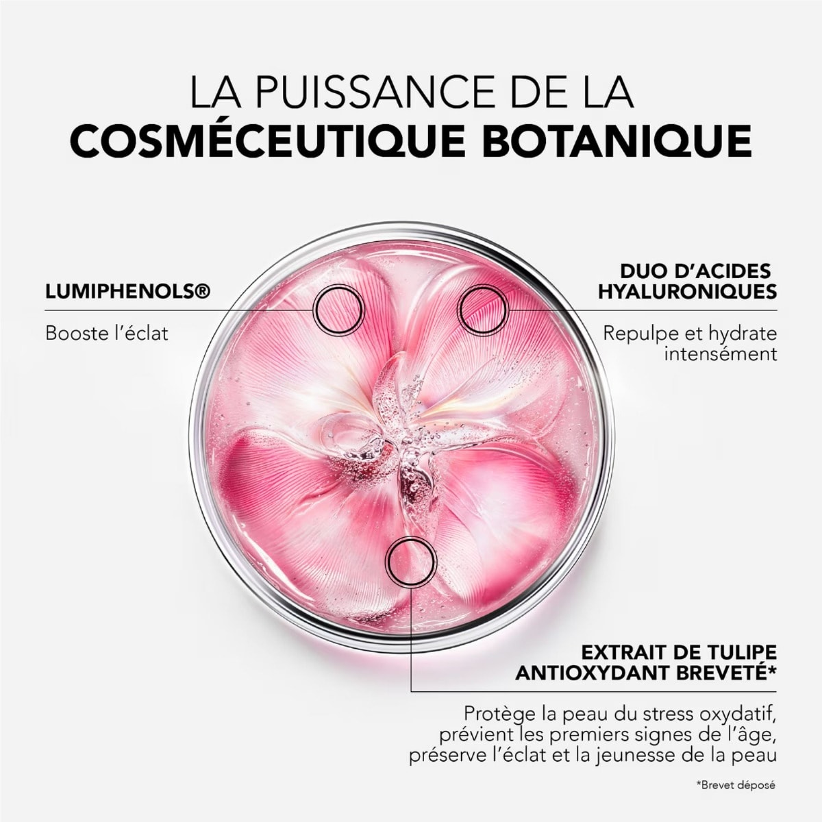 GLOW FRESH Duo Sérum & Masque