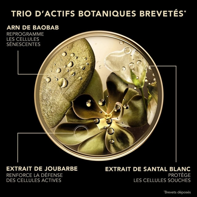 Coffret PREMIUM Anti-Age Global